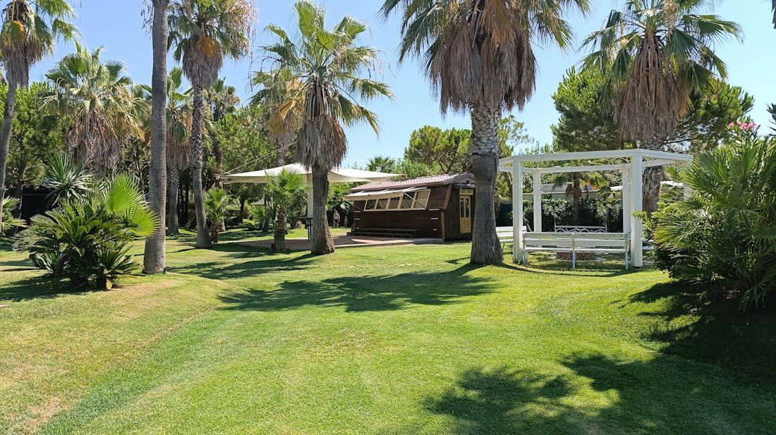 Pelouse entretenue et palmiers dans un jardin tropical